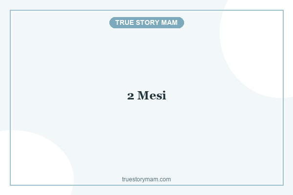 2-mesi 2-mesi