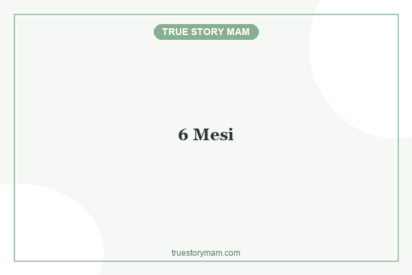 6-mesi 6-mesi
