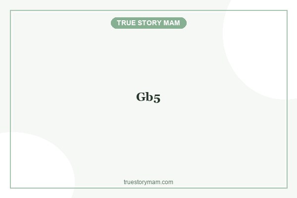gb5